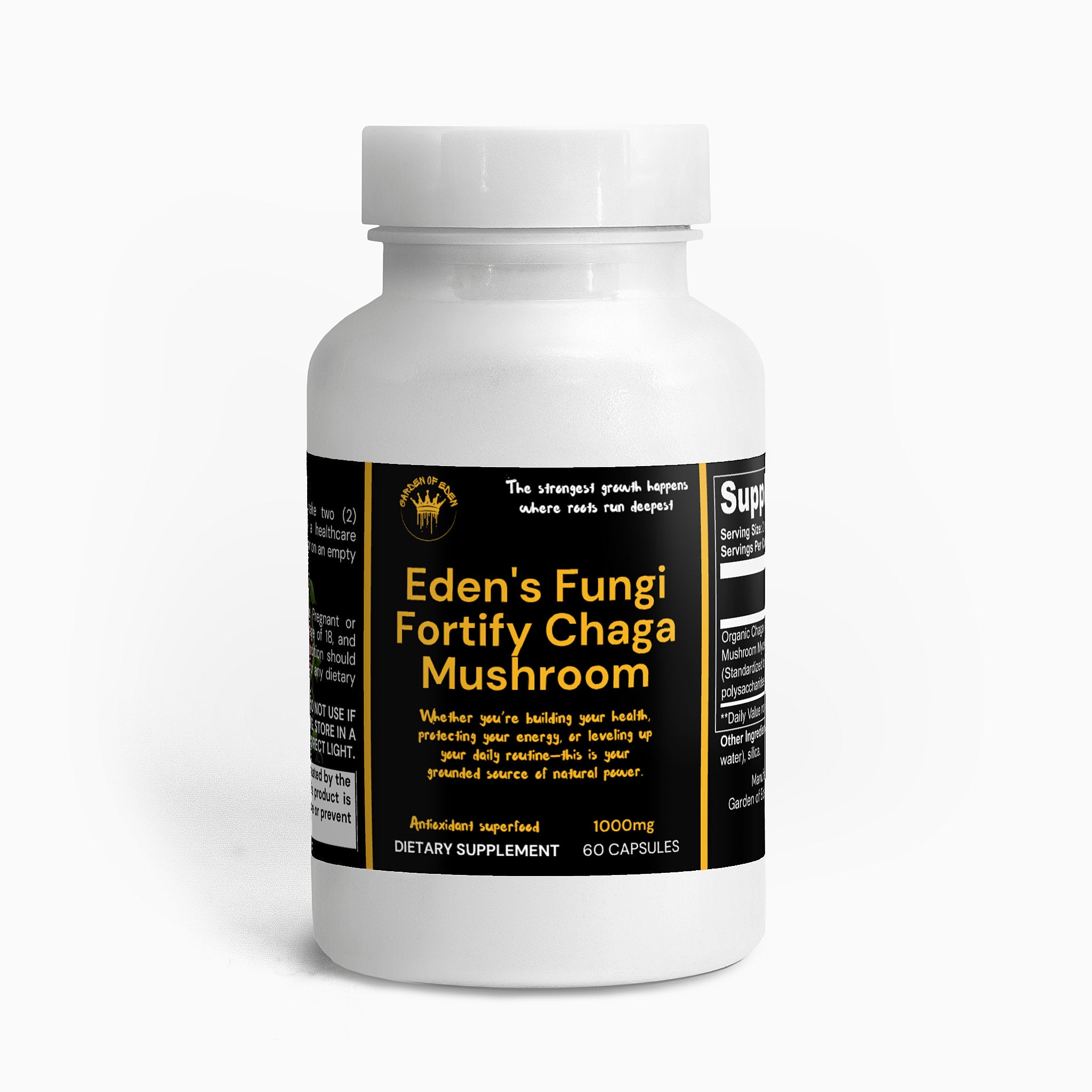 Fungi Fortify Chaga Mushroom