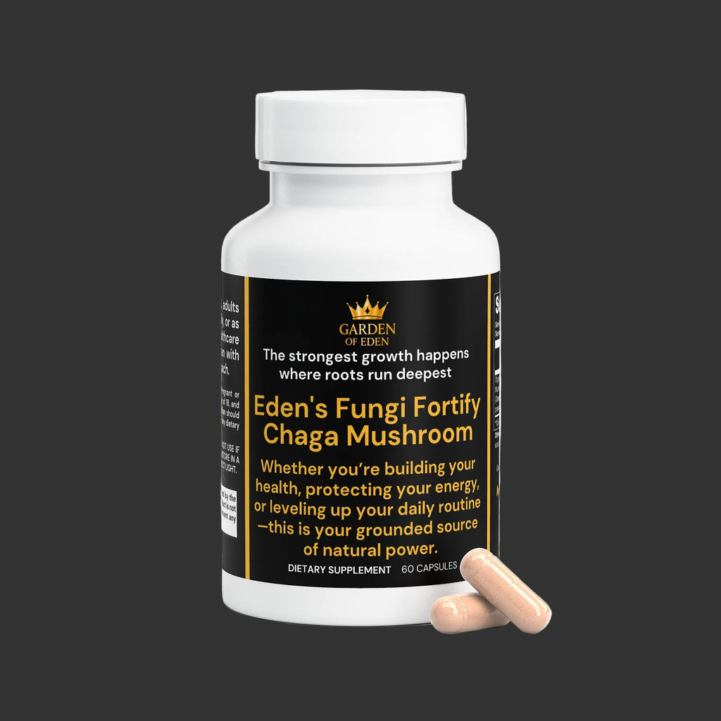 Fungi Fortify Chaga Mushroom