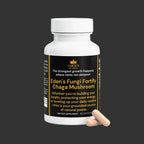 Fungi Fortify Chaga Mushroom