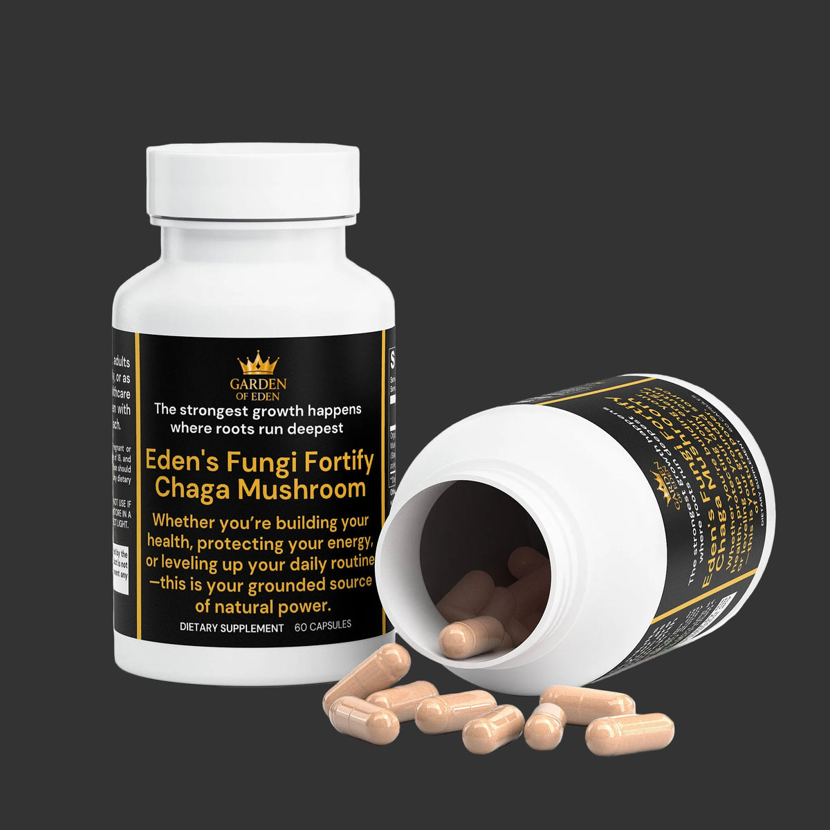 Fungi Fortify Chaga Mushroom