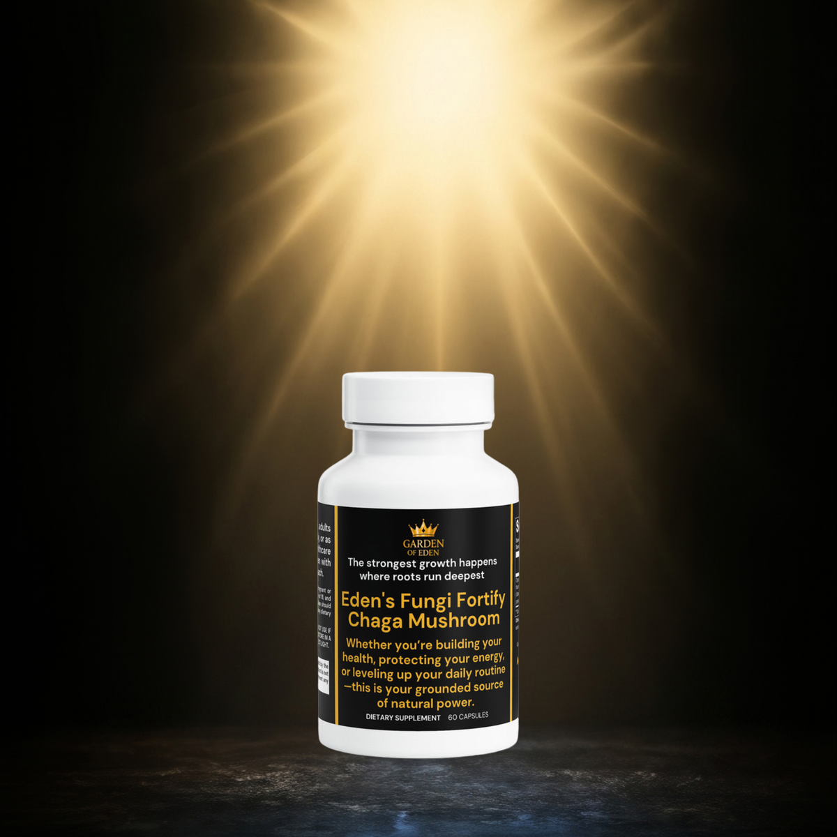 Fungi Fortify Chaga Mushroom