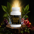 Fungi Fortify Chaga Mushroom