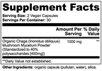 Fungi Fortify Chaga Mushroom