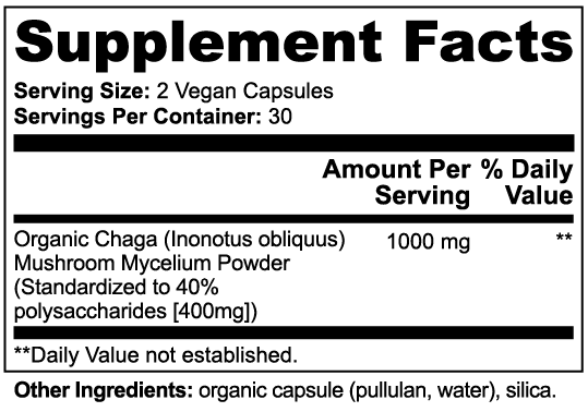 Fungi Fortify Chaga Mushroom